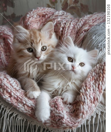 adorable kitten laying on a bed with a pink croched blanket 132198108