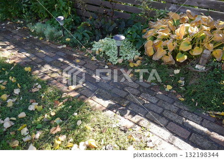 Autumn garden scenery Autumn garden scenery 132198344