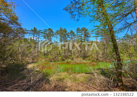 欣賞福島縣裡盤台高原的赤沼（五色沼）的新綠 132198522
