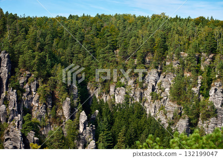 Sandstone rocks and forest landscape in Saxon Switzerland National Park 132199047