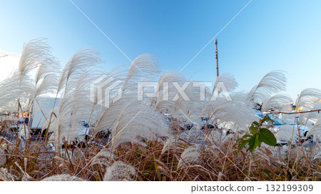 Susuki在藍天閃耀 132199309