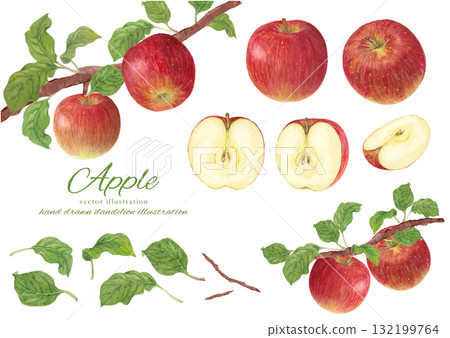 Watercolor apple vector illustration set Watercolor apple vector illustration set 132199764