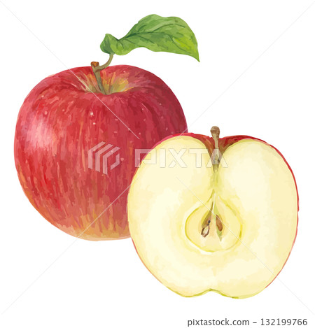 切開的蘋果的水彩插圖 切開的蘋果的水彩插圖 132199766