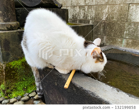 Frequent hydration Frequent hydration 132199858