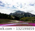 秩父山脈和芝櫻 132199859