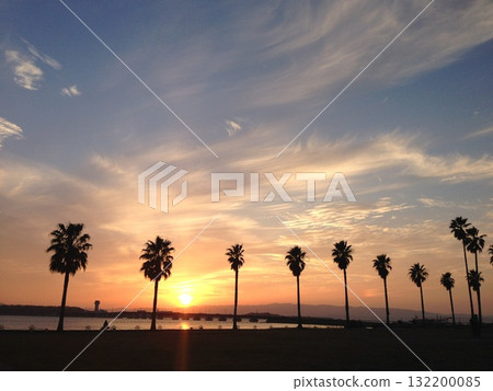 Palm trees and sunsets Palm trees and sunsets 132200085