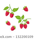 Ripe raspberries and green leaves. Hand-drawn watercolor illustration on a white background. 132200109