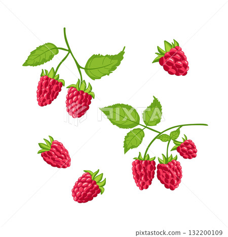 Ripe raspberries and green leaves. Hand-drawn watercolor illustration on a white background. Ripe raspberries and green leaves. Hand-drawn watercolor illustration on a white background. 132200109