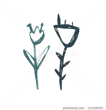 Minimal floral illustration with two hand drawn wildflowers in Scandinavian style simple botanical vector art Minimal floral illustration with two hand drawn wildflowers in Scandinavian style simple botanical vector art 132200341