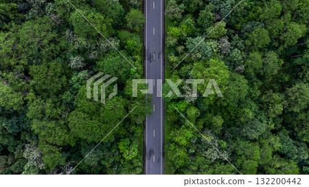 Aerial view road through the green tree jungle forest, Aerial view street asphalt road going through green forest, Adventure and travel ecosystem and ecology healthy environment and background. Aerial view road through the green tree jungle forest, Aerial view street asphalt road going through green forest, Adventure and travel ecosystem and ecology healthy environment and background. 132200442