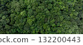 Aerial view forest and tree landscape texture abstract background, Aerial top view forest atmosphere area, Texture of forest view from above, Ecosystem and healthy ecology environment. 132200443
