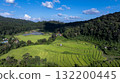 Aerial top view rice fields agriculture land, Rice fields prepare the harvest, Beautiful rice fields nature landscape texture and background. 132200445