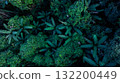 Aerial top view of green forest tree, Tropical rain forest tree ecosystem and healthy environment, Texture and background of green tree forest, Forest and tree landscape texture abstract background. 132200449