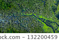 Aerial top view jungle wetlands wilderness, Wetlands crucial for biodiversity, Swamp landscape ecological reserve in wildlife, Greenery rural area with swamp. 132200459
