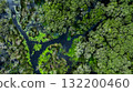 Aerial top view jungle wetlands wilderness, Wetlands crucial for biodiversity, Swamp landscape ecological reserve in wildlife, Greenery rural area with swamp. 132200460