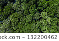 Aerial top view jungle wetlands wilderness, Wetlands crucial for biodiversity, Swamp landscape ecological reserve in wildlife, Greenery rural area with swamp. 132200462