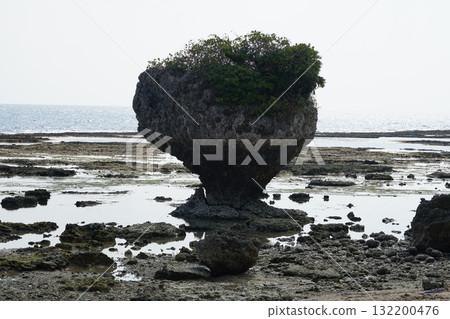 Scenery of mushroom-shaped rocks on the coast. October, Okinawa main island, 311 Mushroom Rocks, Cape Chinen Park Scenery of mushroom-shaped rocks on the coast. October, Okinawa main island, 311 Mushroom Rocks, Cape Chinen Park 132200476