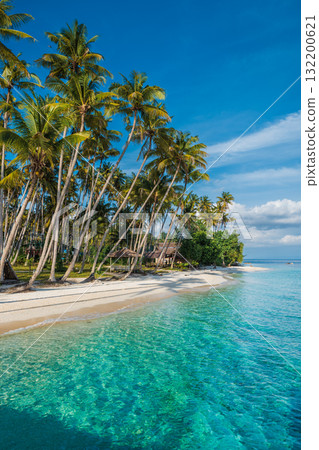 Paradise beach with palm trees and quiet blue sea on tropical island. Travel luxury vacation banner. Paradise beach with palm trees and quiet blue sea on tropical island. Travel luxury vacation banner. 132200621