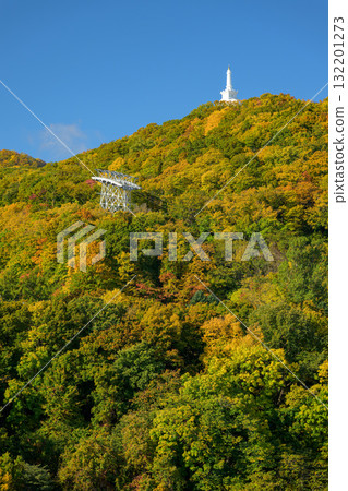 藻岩山的紅葉_5640 藻岩山的紅葉_5640 132201273