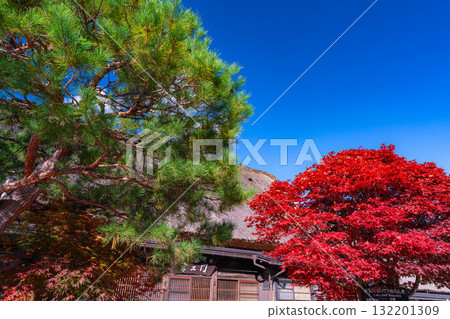 [World Heritage Site] Shirakawa-go in full autumn color [Gifu Prefecture] 132201309