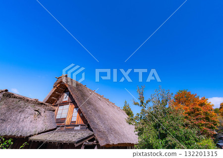 [World Heritage Site] Shirakawa-go in full autumn color [Gifu Prefecture] 132201315