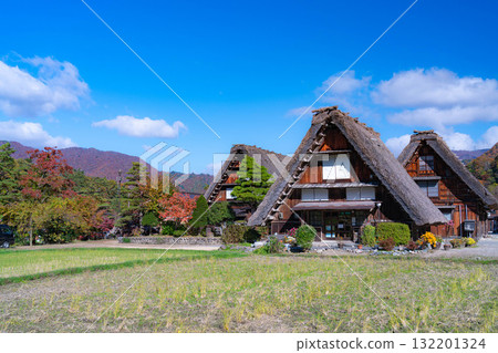 [World Heritage Site] Shirakawa-go in full autumn color [Gifu Prefecture] 132201324