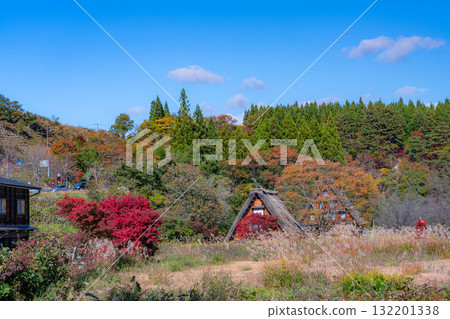 【世界遺產】紅葉盛開的白川鄉【岐阜縣】 【世界遺產】紅葉盛開的白川鄉【岐阜縣】 132201338