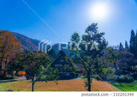 【世界遺產】紅葉盛開的白川鄉【岐阜縣】 【世界遺產】紅葉盛開的白川鄉【岐阜縣】 132201340