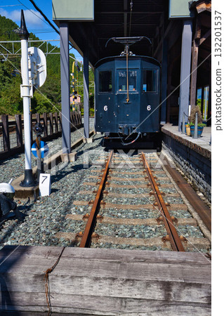 Welcome to Dinosaur Kingdom, Echizen Railway Katsuyama Station 132201537