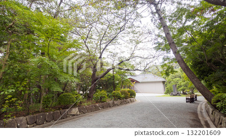 秋天的葉山潮騷公園 秋天的葉山潮騷公園 132201609