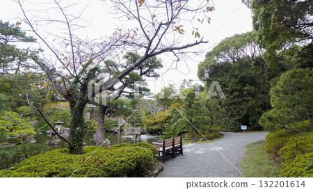 秋天的葉山潮騷公園 132201614