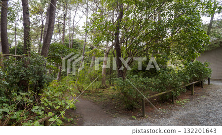 Hayama Shiosai Park in autumn Hayama Shiosai Park in autumn 132201643