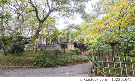 秋天的葉山潮騷公園 秋天的葉山潮騷公園 132201645