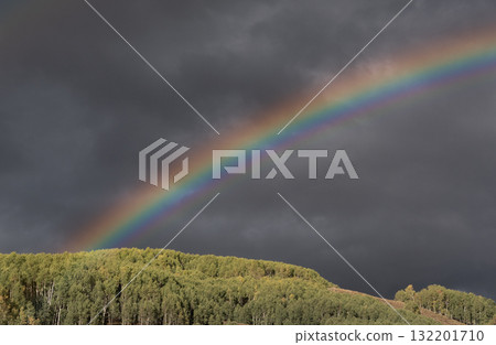 Vibrant rainbow above a green aspen grove in Crested Butte, Colorado 132201710
