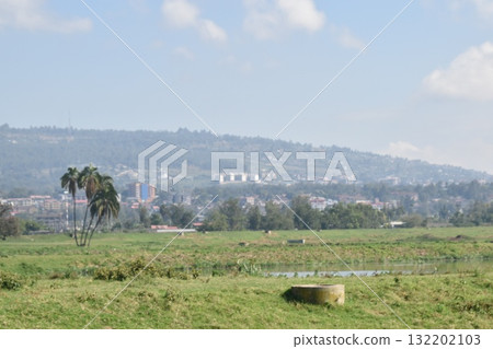 View of the town of Nakuru from Lake Nakuru National Park in Kenya 132202103