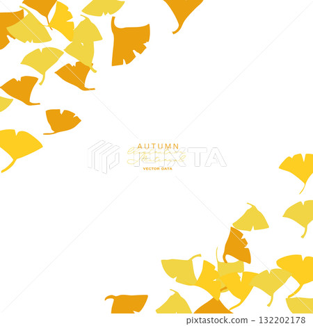 秋季銀杏插圖 銀杏向量插圖背景 秋季植物框架 132202178