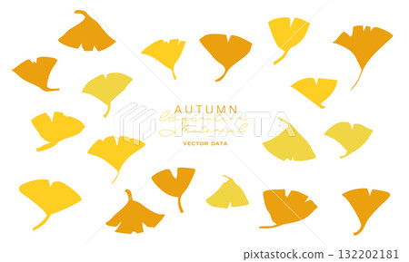 秋季銀杏插圖 銀杏向量插圖背景 秋季植物框架 132202181