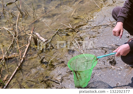 Boy is cathcing frog on the river using butterfly net, closeup hands. 132202377