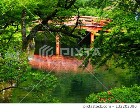 堺遺產：醍醐寺池塘裡的紅橋 132202396