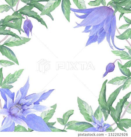 A watercolor floral frame of blue clematis flowers, buds, and green leaves on a white background. Perfect for printing on cards and invitations.  132202926