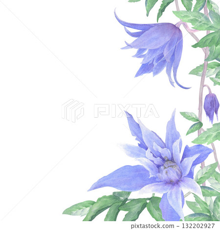 A watercolor floral border of blue clematis flowers, buds, and green leaves on a white background. Perfect for printing on cards and invitations.  132202927