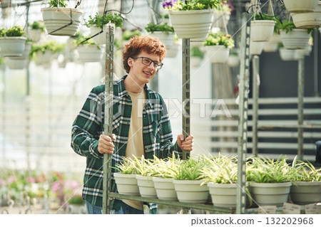 Plants in the pots. Young man with curly hair and in glasses is in greenhouse Plants in the pots. Young man with curly hair and in glasses is in greenhouse 132202968