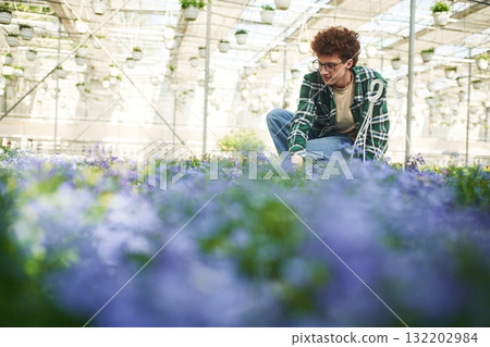 Purple colored flowers. Young man with curly hair and in glasses is in greenhouse 132202984
