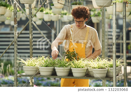 Many of the pots with flowers. Young man with curly hair and in glasses is in greenhouse 132203068