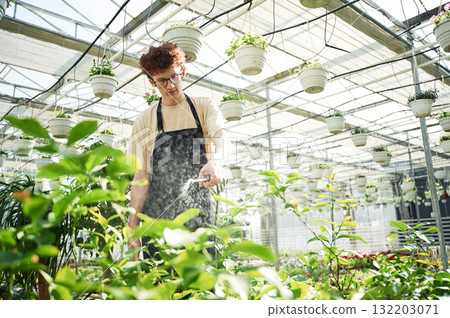 Daily watering. Young man with curly hair and in glasses is in greenhouse Daily watering. Young man with curly hair and in glasses is in greenhouse 132203071