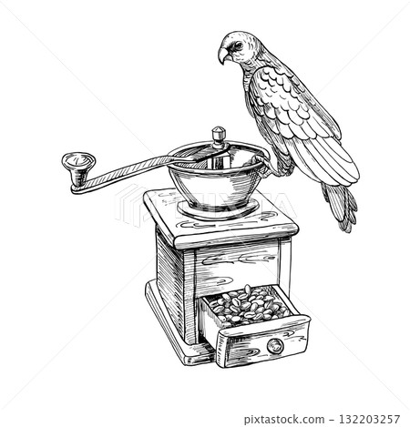 A parrot perched on a retro coffee grinder. Realistic vector illustration for coffee shop interiors, menu design, packaging, kitchen accessories, and textiles. A parrot perched on a retro coffee grinder. Realistic vector illustration for coffee shop interiors, menu design, packaging, kitchen accessories, and textiles. 132203257