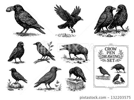Crow Pen Drawing Set Crow Pen Drawing Set 132203575