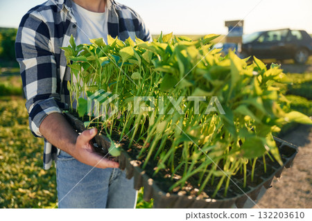 Bunch of plants in hands. Adult farmer is outdoors Bunch of plants in hands. Adult farmer is outdoors 132203610