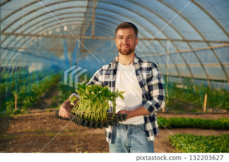 Many of the plants in hands. Man is working in the greenhouse Many of the plants in hands. Man is working in the greenhouse 132203627