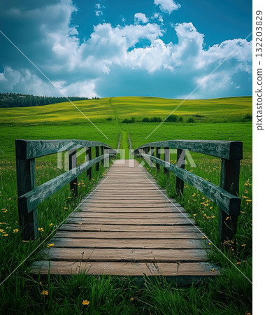 wooden bridge leading into vast green field under blue sky 132203829